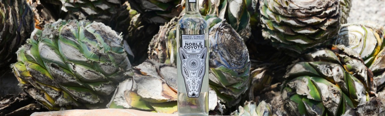 Noble Coyote Mezcal