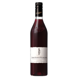 GIFFARD Cassis de Bourgonge
